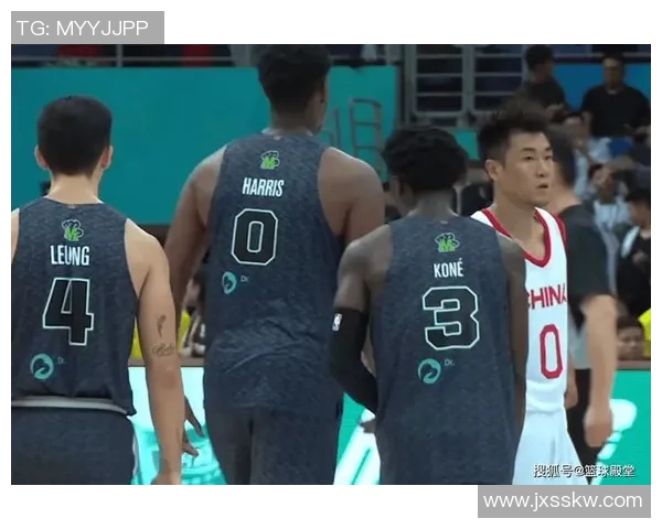 澳门黑熊vs战狼 澳门黑熊vs战狼